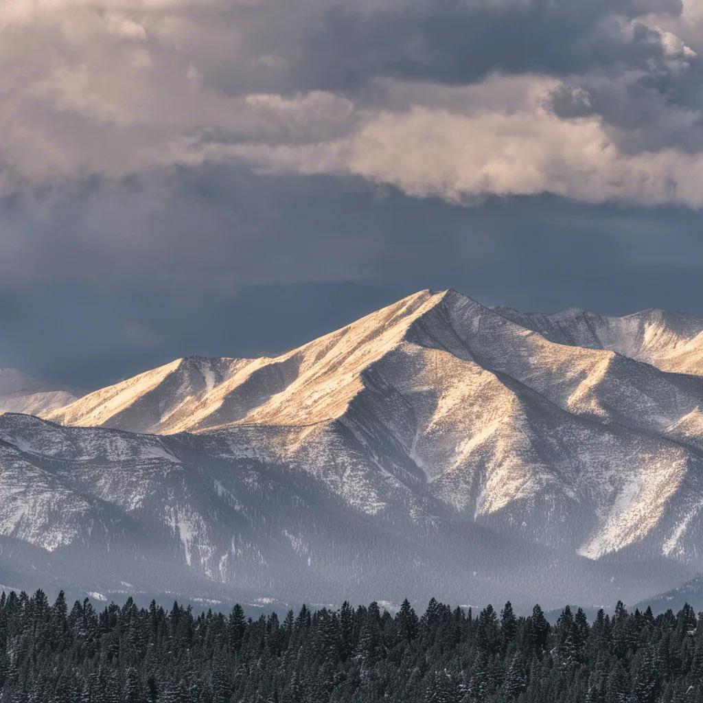 Read more about the article How Can I Market My House to Sell Fast in Denver?