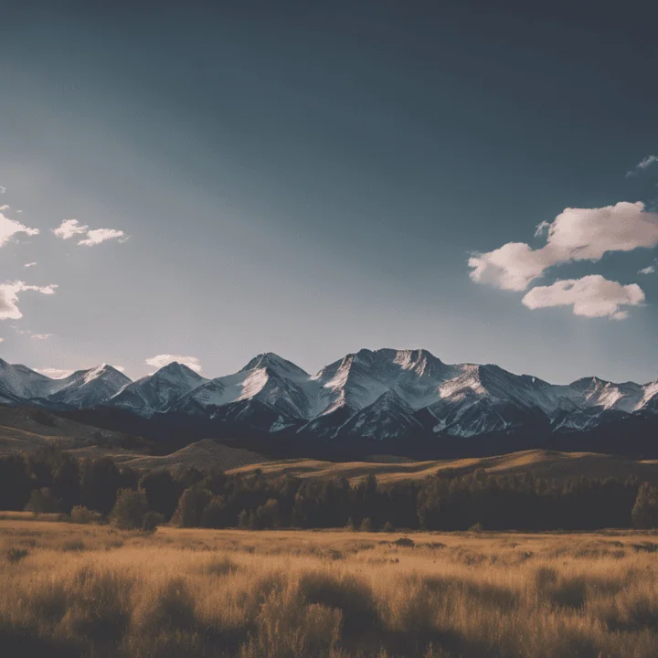 Read more about the article How to Determine If a Cash Offer is Right for You in Aurora, Colorado