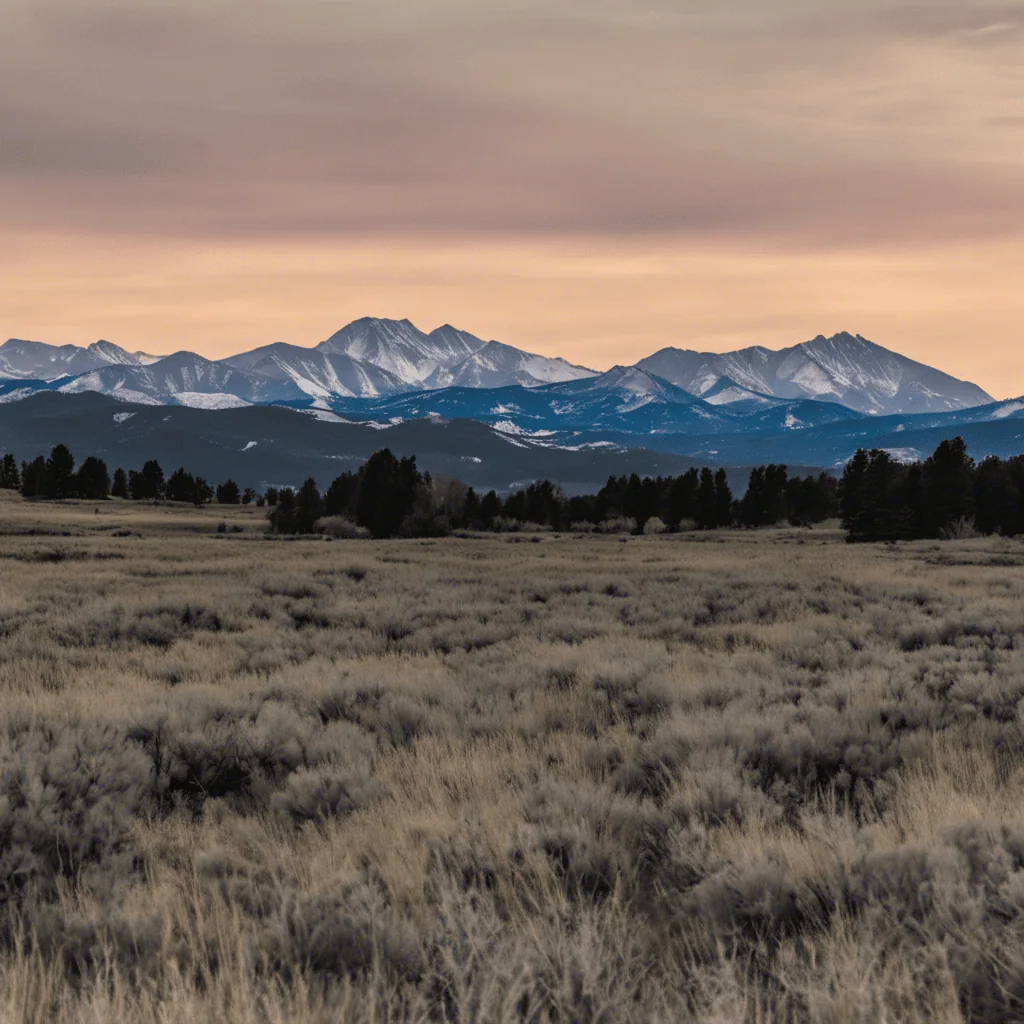 Read more about the article Selling Your House to Investors in Aurora: Frequently Asked Questions